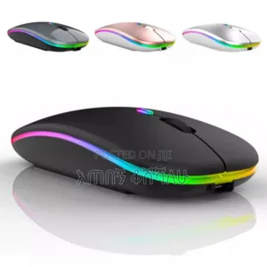 Wireless Mouse Rechargeable
