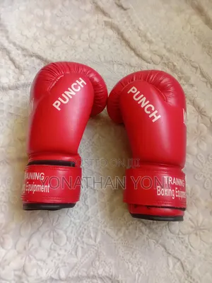 Punching Glove