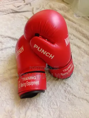 Punching Glove