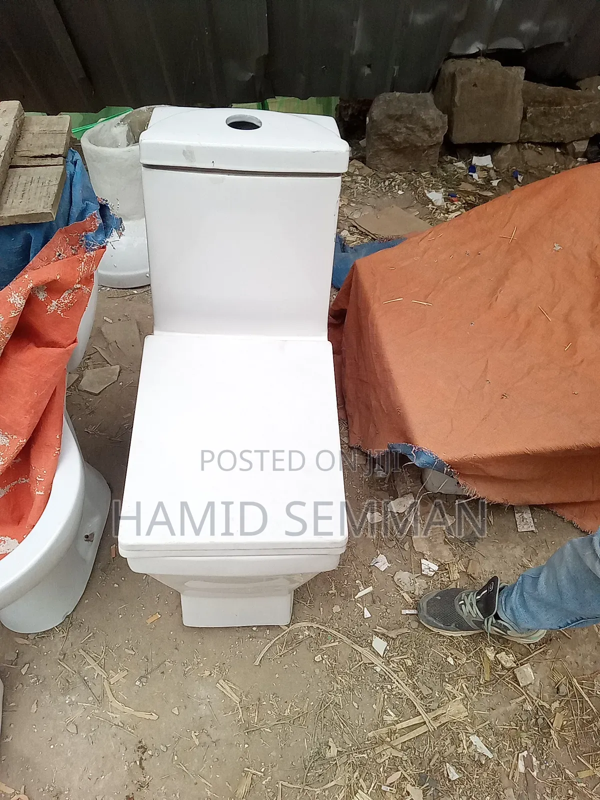 Gold Dragon Toilet Seat