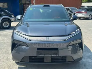 New BYD Tang DM-i 2025 Gray