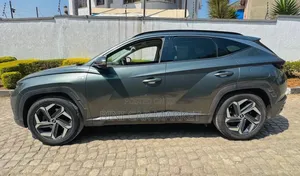 Hyundai Tucson 2021 Gray