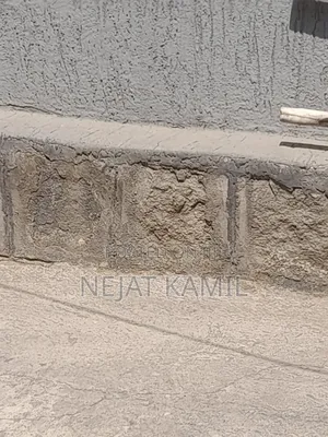 Toyota Vitz 2002 White