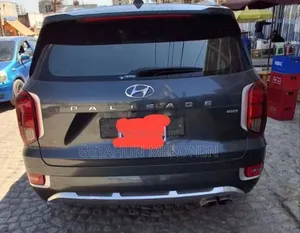 Hyundai Palisade 2022 Gray