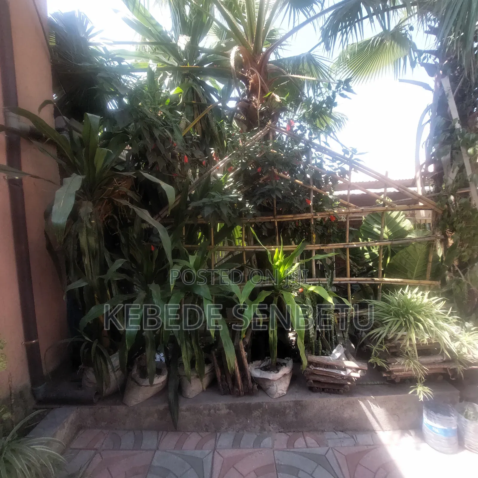 2bdrm House in Oromia, East Shewa for rent
