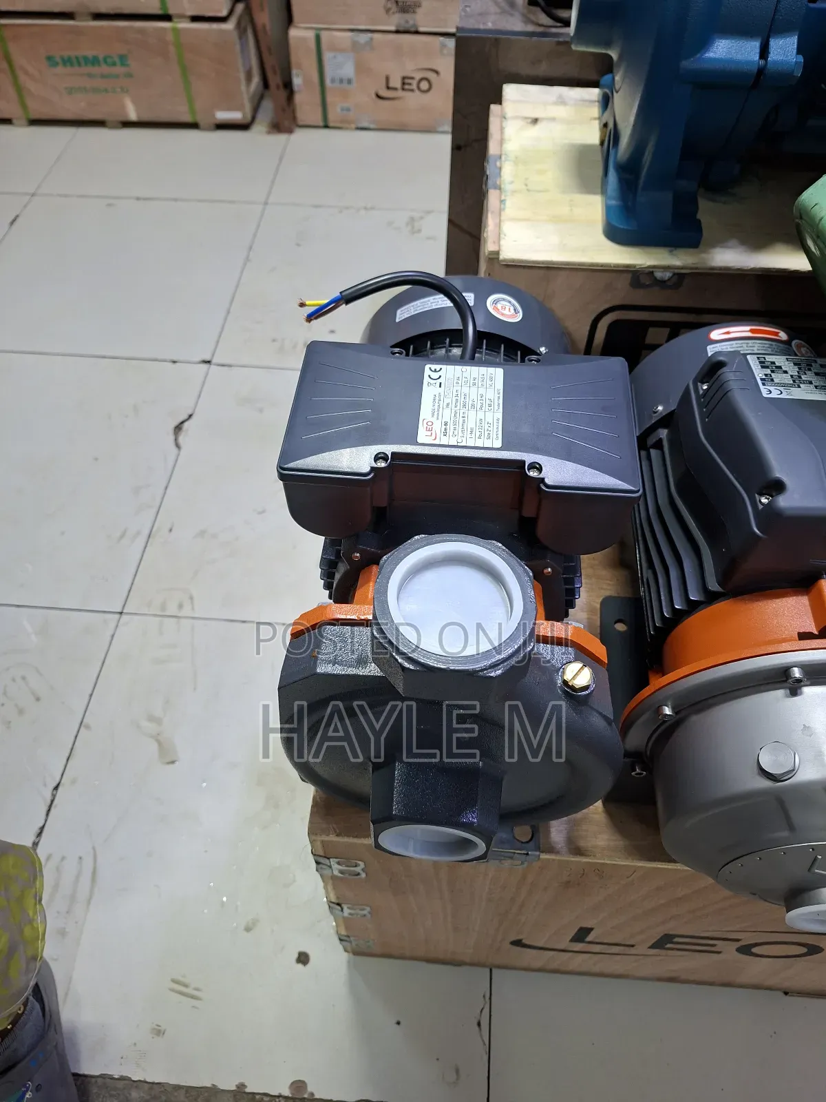 Leo Surface Water Pump