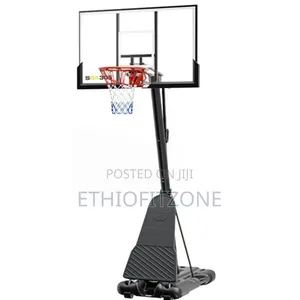 Standard Basket Ball Standing