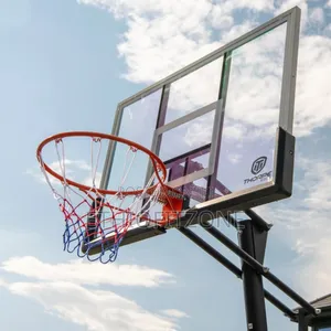 Standard Basket Ball Standing
