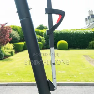 Standard Basket Ball Standing