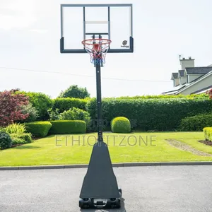 Basket Ball Standing