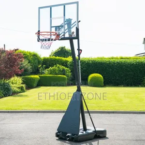 Basket Ball Standing