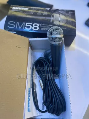 Stage Microphone