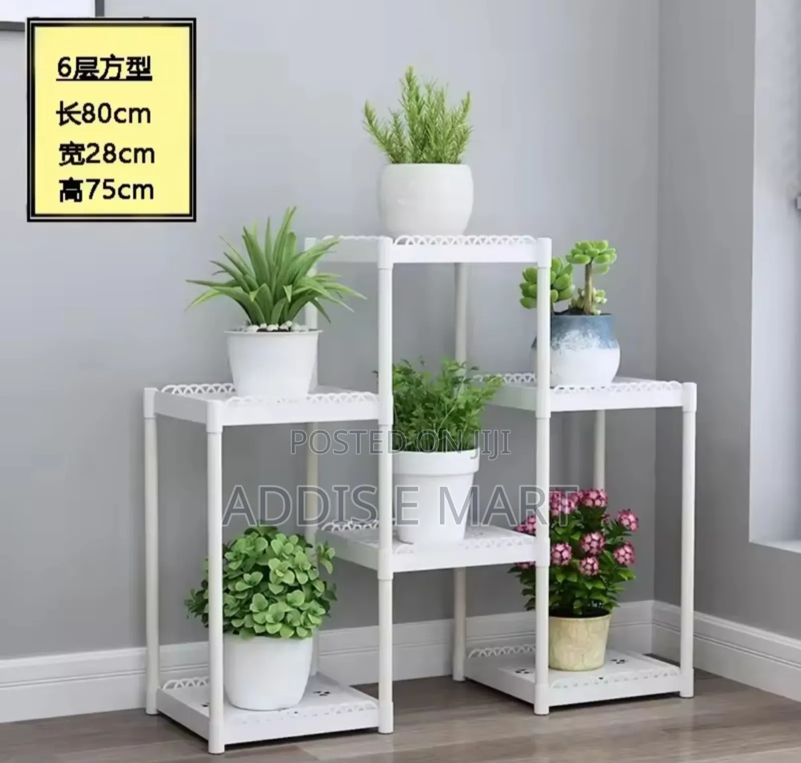 Flower Frame for House