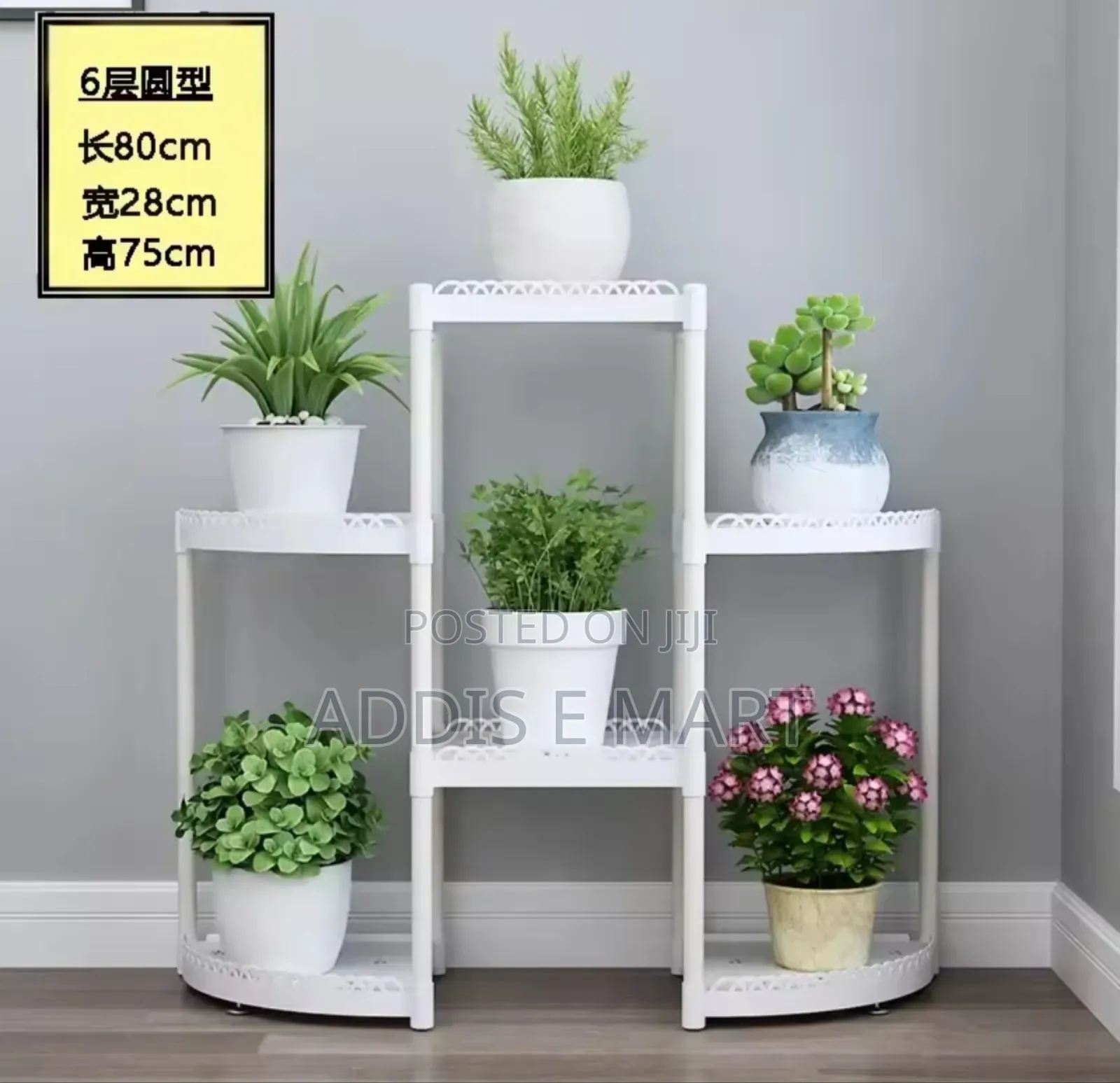 Flower Frame for House