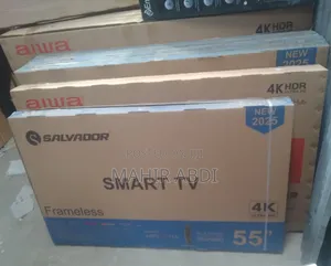 Salvador 55 Inch Smart Tv