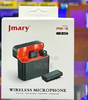 Jmary Mw-16 Wireless Microphone System: