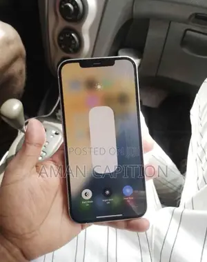 Apple iPhone 12 Pro Max 128 GB Rose Gold