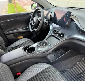 BYD Song Plus 2024 Gray