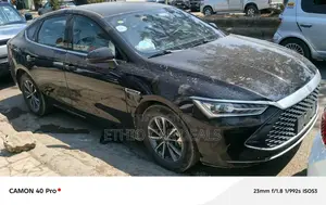 BYD Qin Plus DM-i 2024 Matt Black