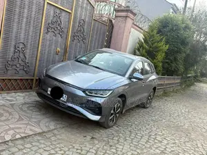 BYD E2 43 kWh 94 hp FWD 2024 Gray