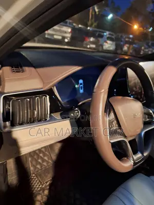 BYD Song Plus EV FWD 2024 Gray