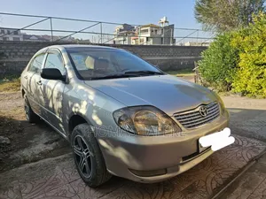 Toyota Corolla 2003 Gray