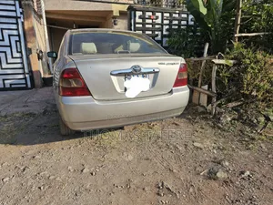 Toyota Corolla 2003 Gray