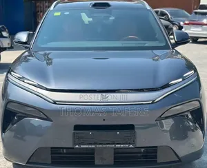 New BYD Tang DM-i 2025