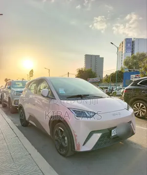 BYD Seagull 2025 Pink