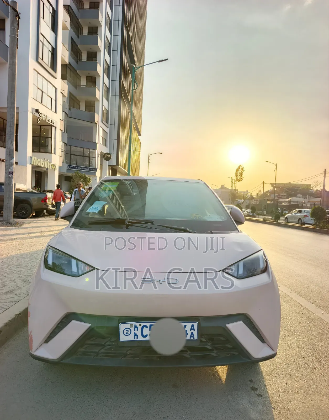 BYD Seagull 2025 Pink