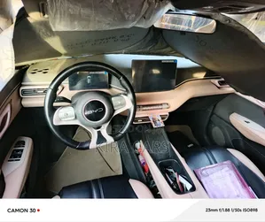 BYD Seagull 2025 Pink