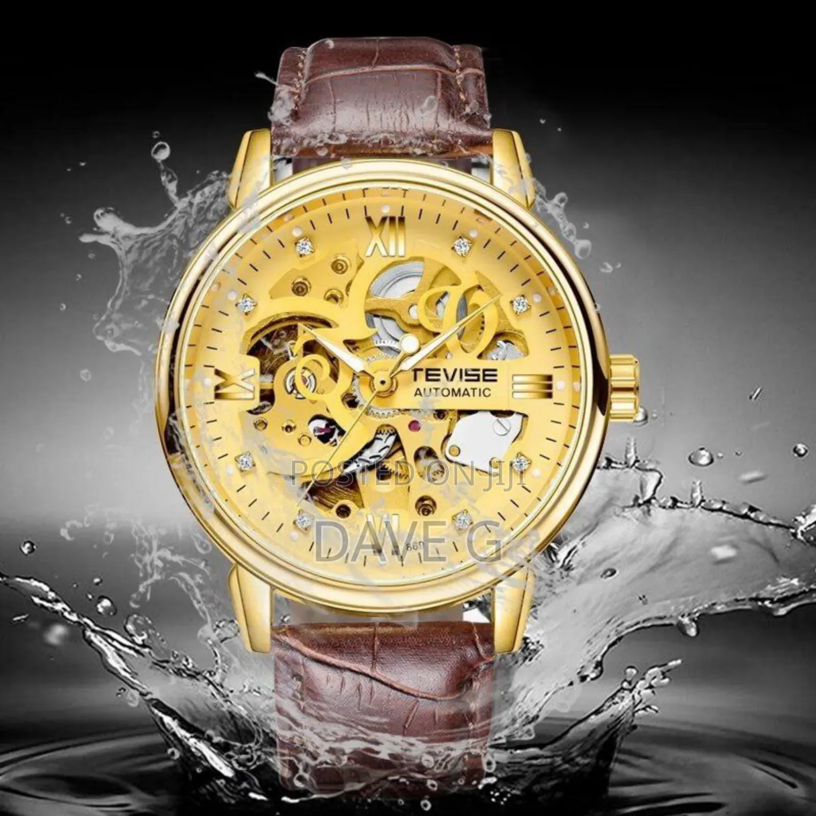 Men's Watches Automatic Mechanical Skeleton Watch Genuine Leather