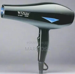 የፀጉር ማድረቂያ (Hair Dryer)