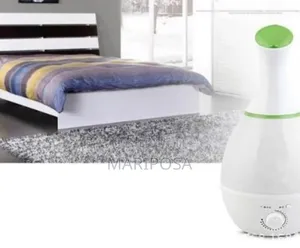 3 Liter Ultrasound Automatization Cool Humidifier