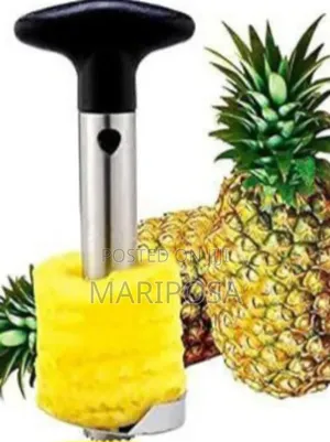 Pineapple Peeler
