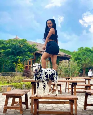 1-3 months Male Purebred Dalmatian