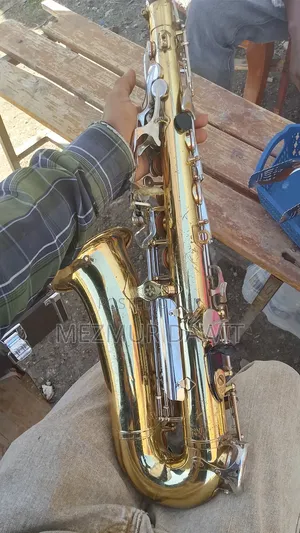 Alto Saxophone