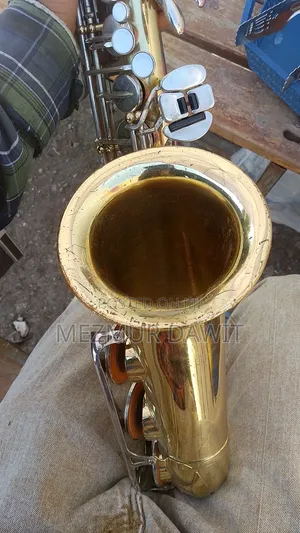 Alto Saxophone