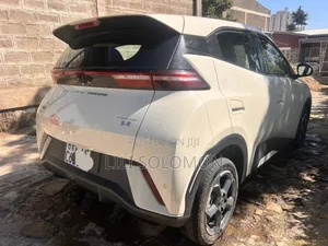 BYD Seagull 2024 White