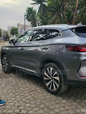 BYD Song Plus 2024 Gray