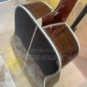 Ibanez - Acoustic Guitar!