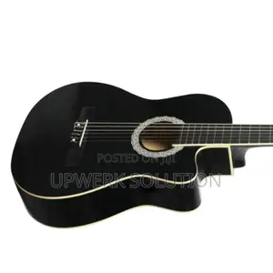 Vangao Semi Acoustic Guitar