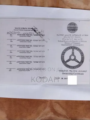 Heavy-Duty Cargo Truck for Sale – Repairable – With Libre Plate