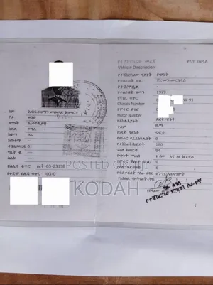 Heavy-Duty Cargo Truck for Sale – Repairable – With Libre Plate