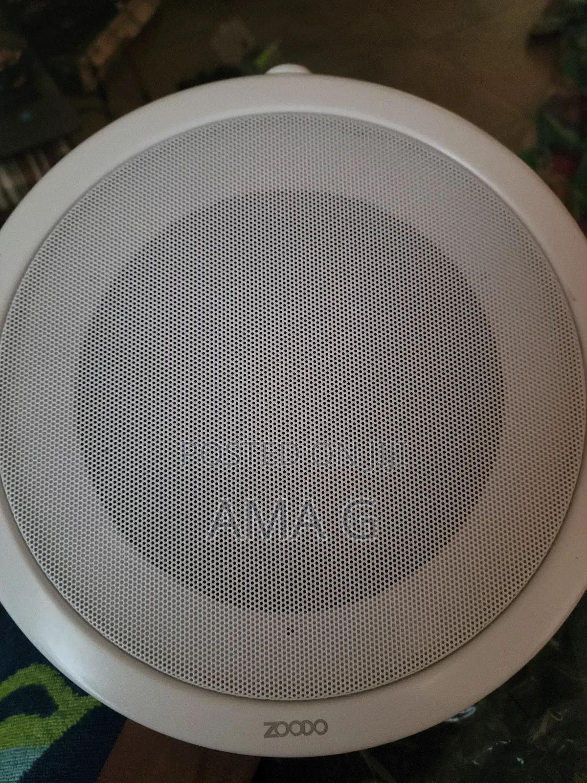 Zoodo Ceiling Speaker