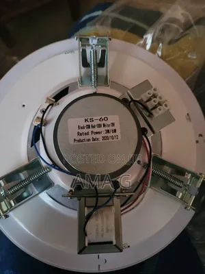 Zoodo Ceiling Speaker