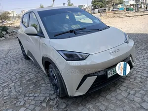 BYD Seagull 2024 Silver