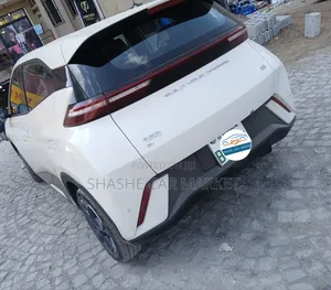 BYD Seagull 2024 Silver