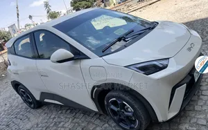 BYD Seagull 2024 Silver