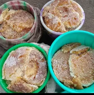 Honey Bee Producation